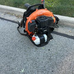 Echo Leaf Blower ( Stihl Trimmer Mower)