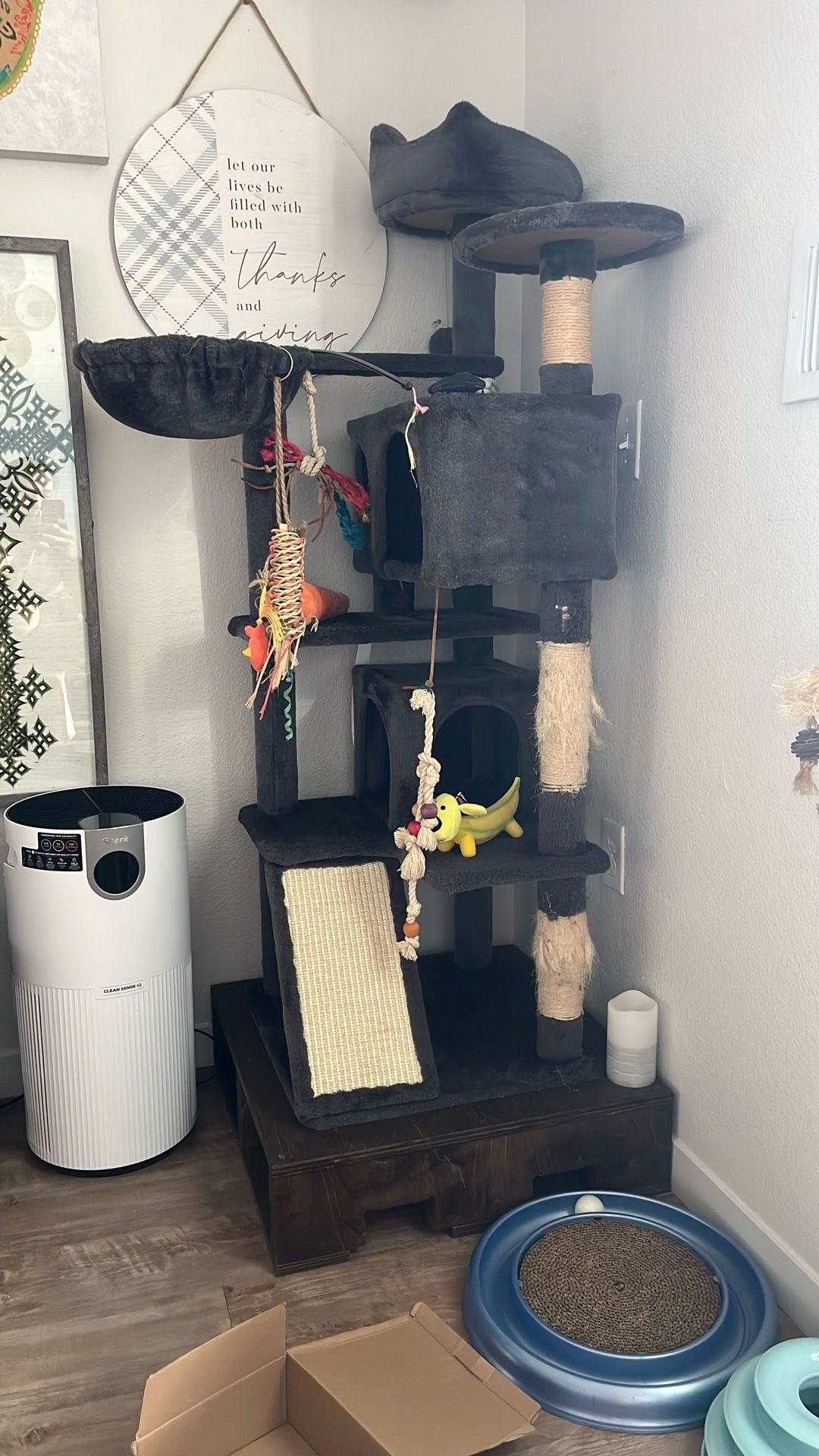 5 Ft Black Cat Tree