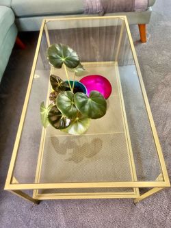 Sleek Matte Gold Coffee table