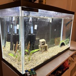 29 Gallon Aquarium