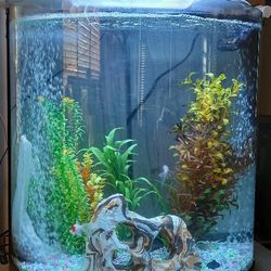 Aquarium Fish TANK Includes.. PLANTS FILTER LED LIGHT PUMP GRAVEL