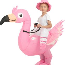 4-6 years One Casa Inflatable Flamingo Costume Riding On Flamingo