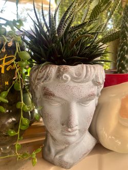 Greek Bust Head Planter
