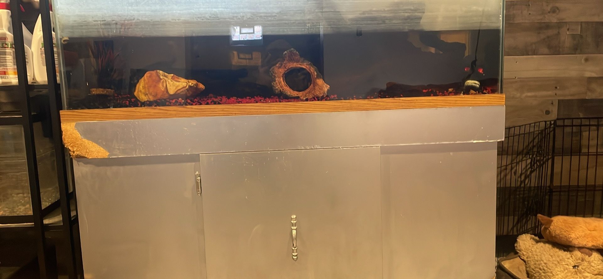 Big Fish Tank
