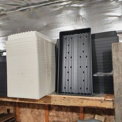 Cloning Trays And Domes