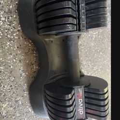 ATIVAFIT Adjustable Dumbbell Set 44LBS ( 1 )