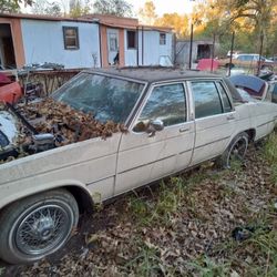 Project Complete Runs