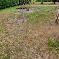 Lawn, & Landscapng  Desgn For All*