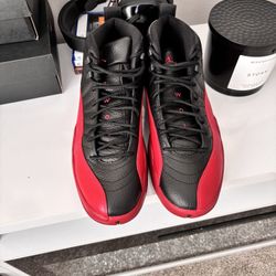 Jordan Retro 12 (Size 10.5)