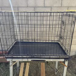 Dog Kennel 