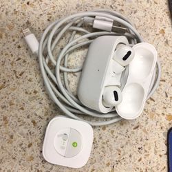Apple earbuds