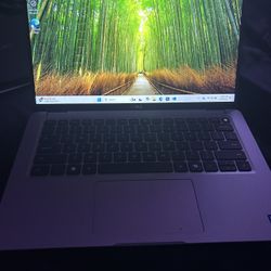 Dell Laptop 