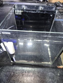 Fish Tank