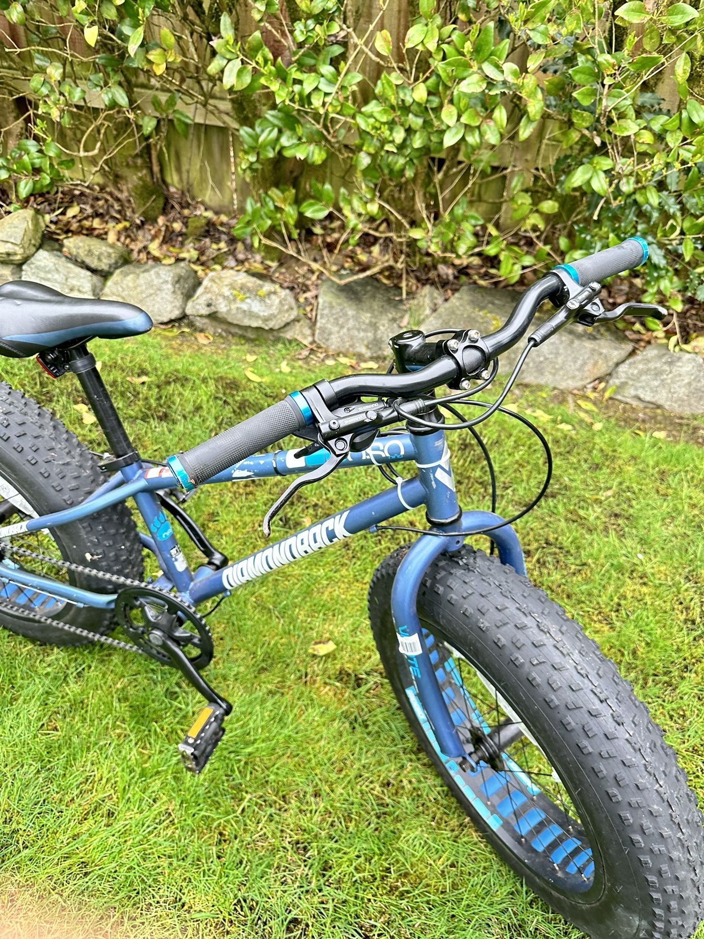 Diamondback El Oso Nino 20” Thick Tire Bike