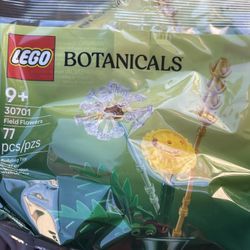 LEGO Botanicals Field Flowers building kit