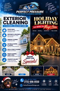 Professional Exterior Cleaning / Holiday Lighting