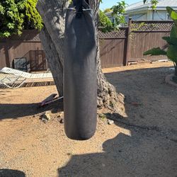 Everlast Punching Bag