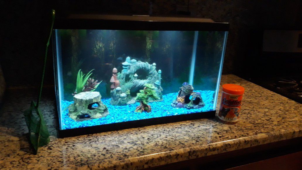 Beautiful Fish tank aquarium $50 OBO