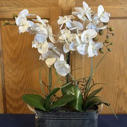 Gorgeous 21.5"H x 18”W Faux White Phalaenopsis in a Vintage Style Tin Planter