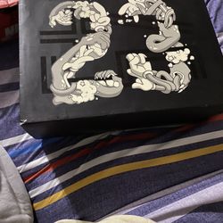 Space jam 11’s (2016)