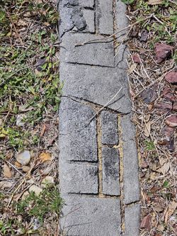 Free concrete molding