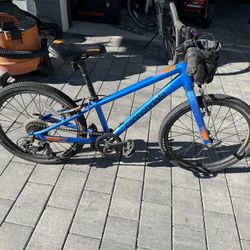 Cannondale Kids Bike