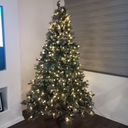 7.5 Christmas Tree