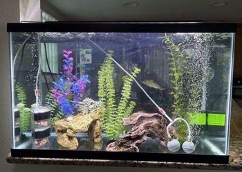 Fish tank with accessories