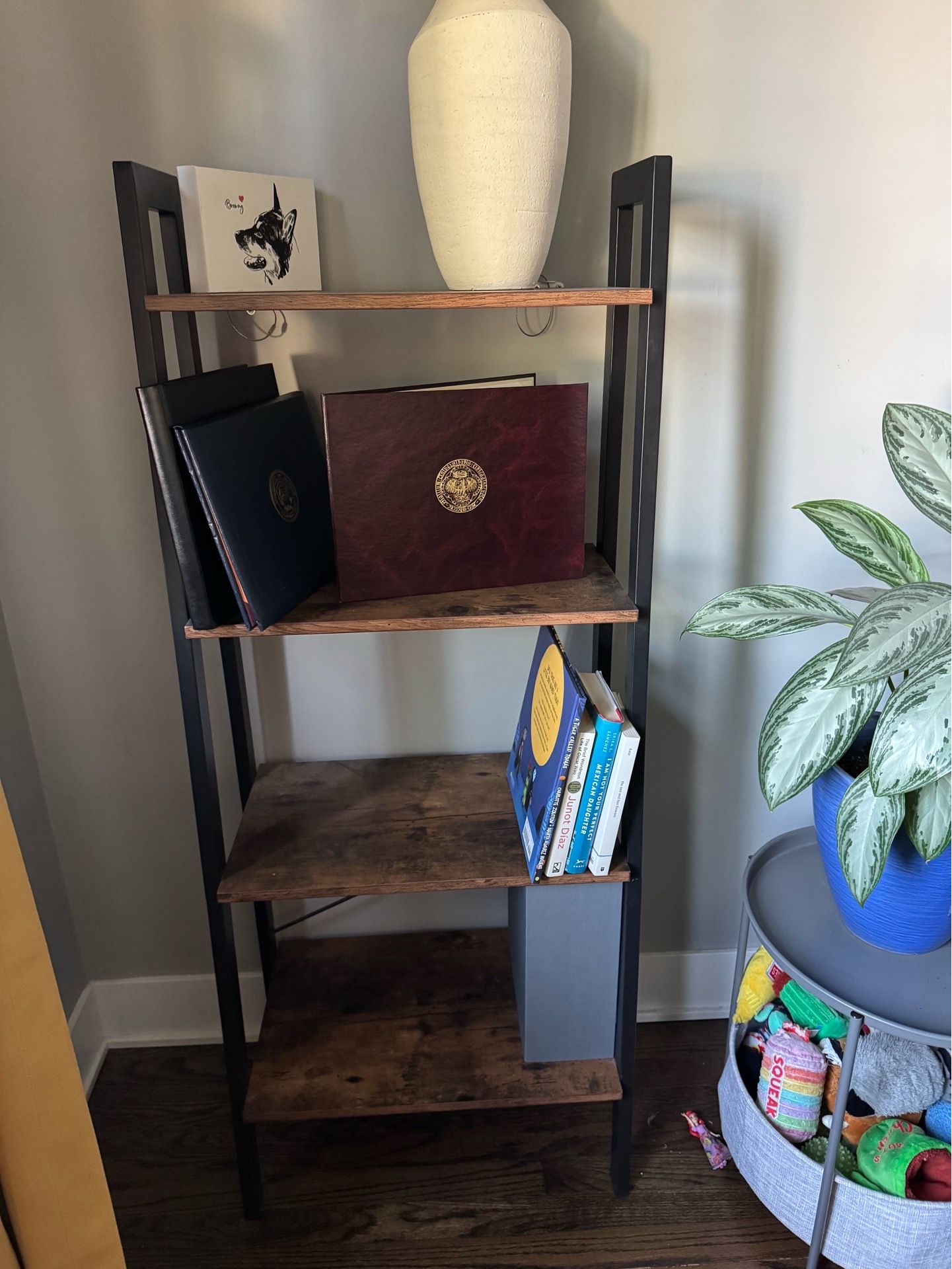 Ladder bookshelf