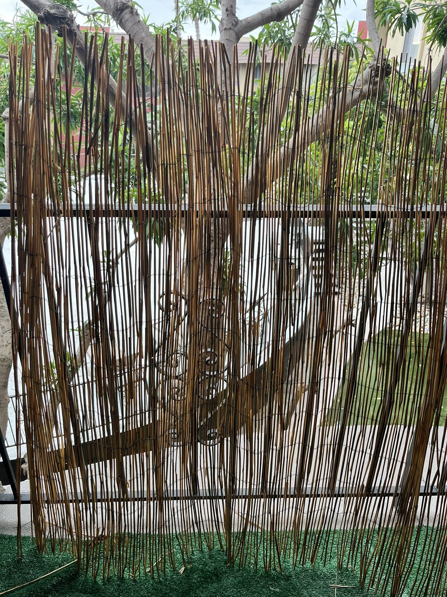 Bamboo Fence-Home depot