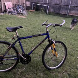 Pacific Denali mountain bike