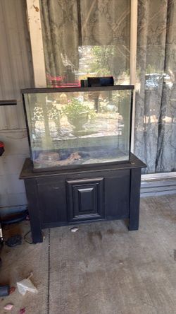 Fish tank for free