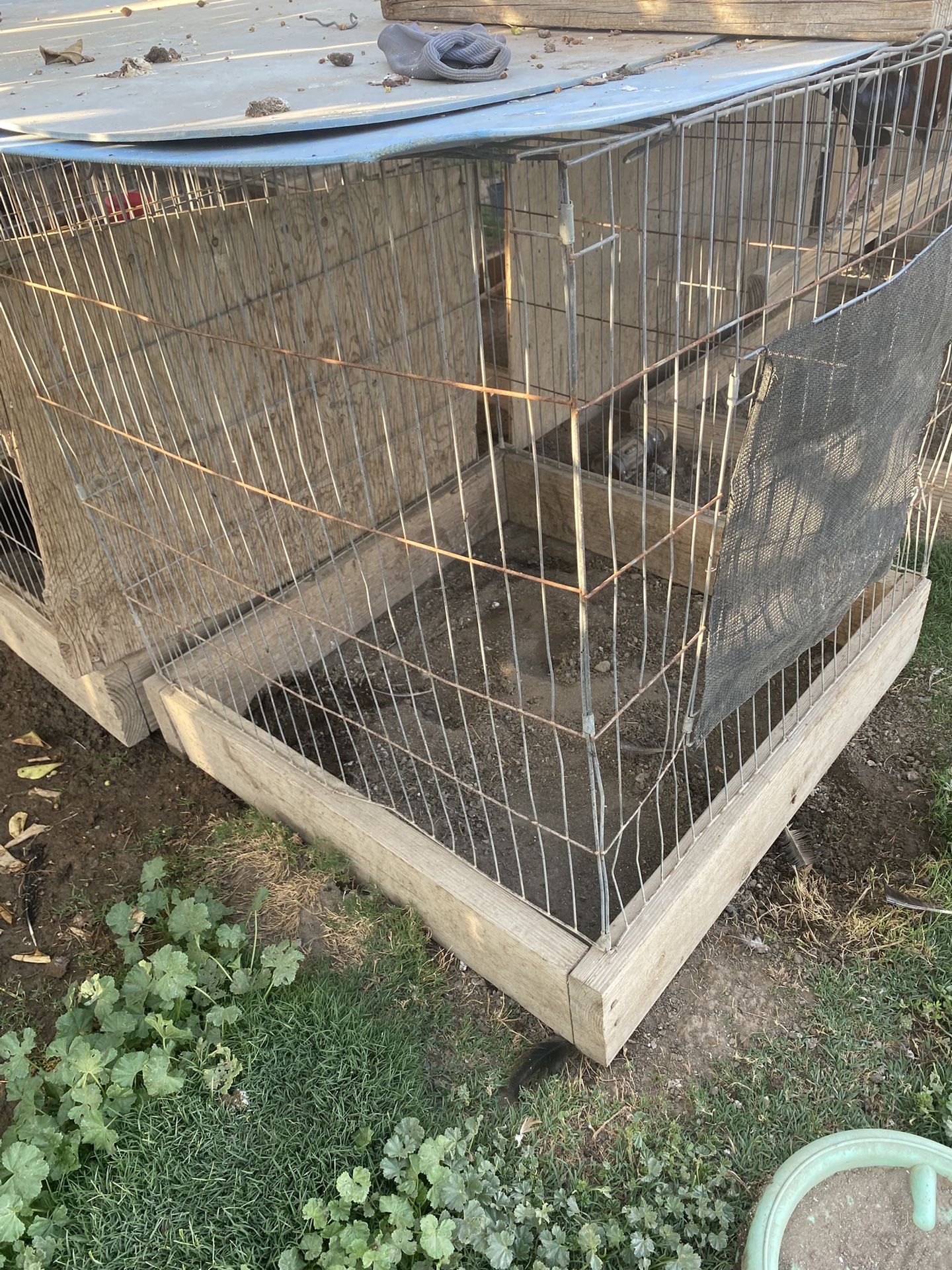 Medium Cages For Chickens