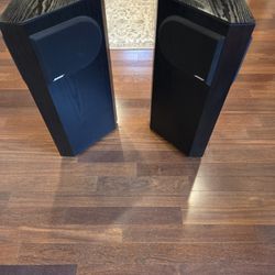 Bose 401