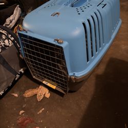 Pet Items