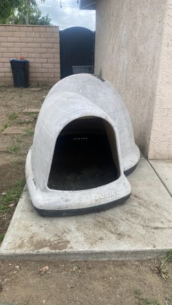 Dog house