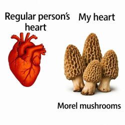 Morels Freshly Picked 