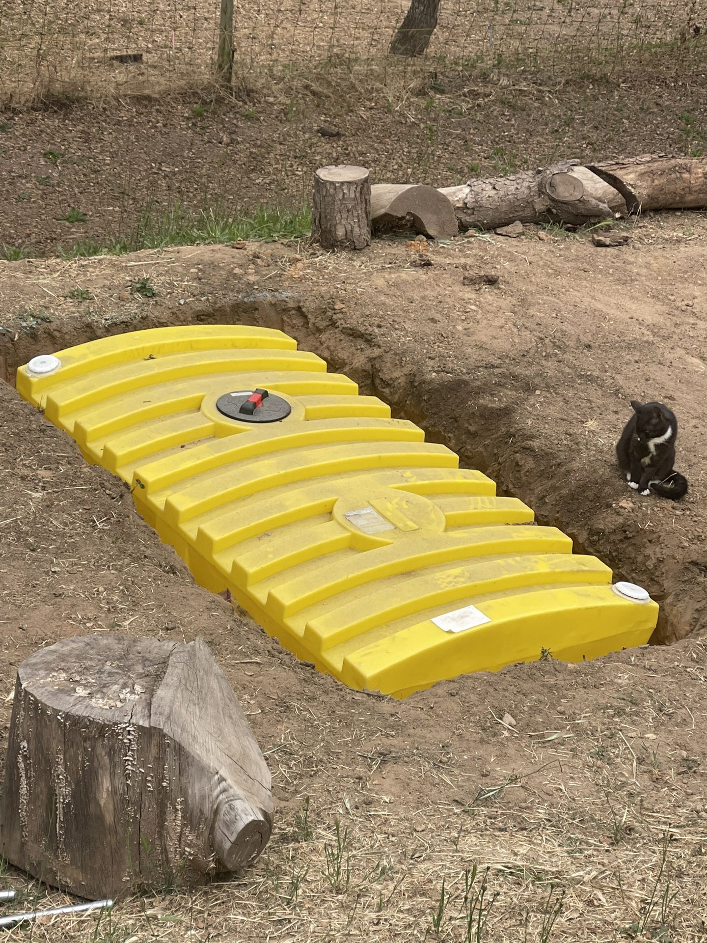 Portable 350 Gallon Septic Tank