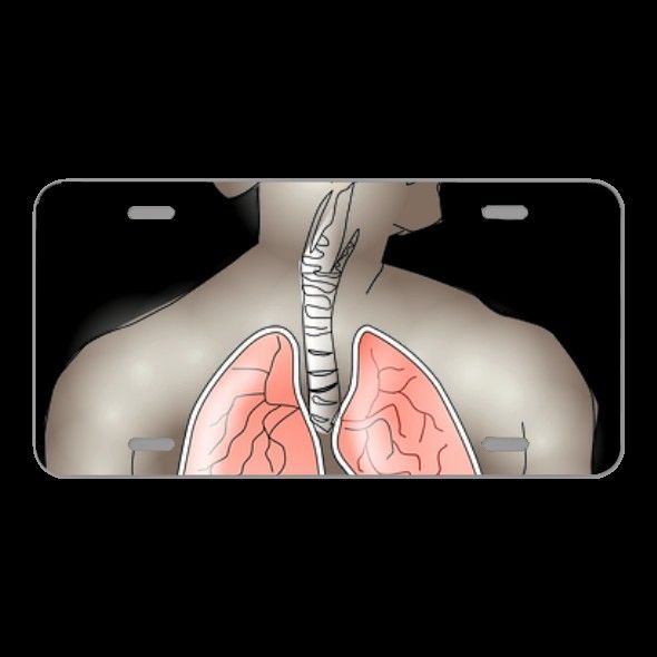 License Plate Novelty Car Front Anatomy Lungs Breathing Human Health