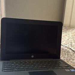 HP Chromebook