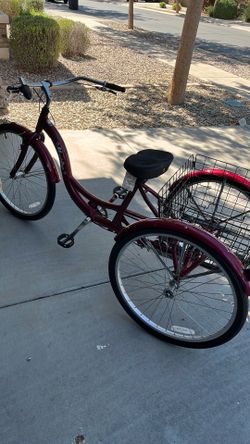 Schwinn tryke