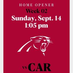 2 Or 4 Tickets Pathners Vs Cardinals 🅿️🎫🎟️🏟️🏈📸🏉🏉
