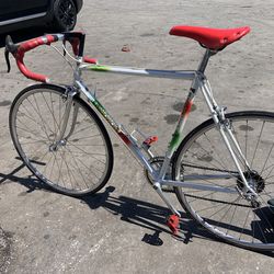 Simoncini 16 speed 54c lightweight aluminum frame with Campagnolo components