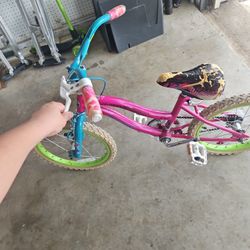 Kid Bike