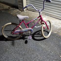 20 Inch Kids Bike 