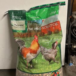 Nutrena High Pro Chicken Scratch 