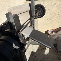 Weight Bench