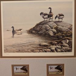 Duck Portrait