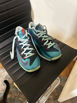 Nike lebrons