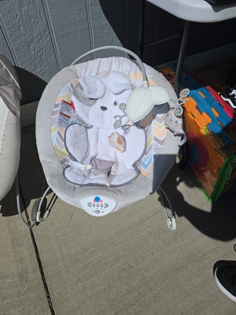 Baby Bouncer/soother